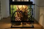 Exo Terra Terrarium 60x45x60 mit viel Zubehör