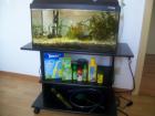 Aquarium mit allem drum und dran