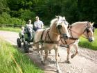 Ferien auf dem Pony,-und Reiterhof Mai