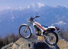 1982 Honda TLR250 