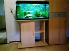 Aquarium 112 l (80x35x40) mit 2 Axolotl, Unterschrank und Zubehör