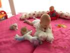 PERSERBABYS MIT PAPIERE 350 € 