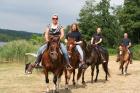 Reitunterricht, Westerntraining, Beritt und Ausritte