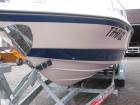 Sportboot Glastron 194V Sport Morretti