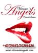 Vienna s Angels Escort Service