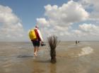 An der Nordsee zu vermieten: Familienfreundliche Ferienhäuser und Ferienwohnunge