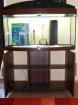 Juwel Aquarium Vision 260 + Unterschrank (Dunkel-Braun)