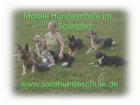 Hundeschule im Saarland 