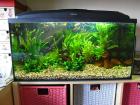 Aquarium 80x35x40 cm, 112 l, KOMPLETT