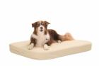 Warum ein DoggyBed  Medical Style Hundekissen? 