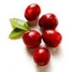 Cranberry Immune Power Drink