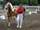 Wunderschöne 3,5jährige Edelblut Haflinger