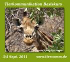 Tierkommunikation Kurs Hamburg 3-4  Sept-0.7978