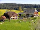 Urlaubsbauernhof im Schwarzwald mit 2 Fewos für Familienferien