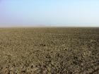 Ackerland in Westungarn zu verpachten (312 ha)