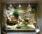 Terrariumbau mit 3D Rückwänden