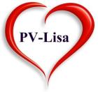 PV-Lisa Partnervermittlung