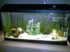 120 Liter Aquarium von Waterhome!!! 