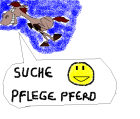 SUCHE PFLEGEPFERD IN VORARLBERG! :D