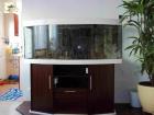 Juwel Aquarium Vision 450