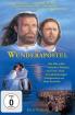 Der Wunderapostel - spiritueller Spielfilm nach Hans Sterneder - DVD