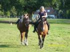 Feldenkrais und Reiten