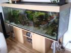 2 m aquarium zu verkaufen