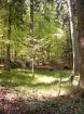 Waldgrundstück, Wald, Mischwald nähe Waldkirchen zum Kauf /Tausch