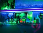 Glow in the dark paints for airbrushing, auto-tuning  High-luminescent paints 