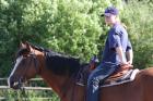 Reiterurlaub im Westernreiten auf Quarter Horses für Kinder und Erwachsene