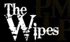 Band The Wipes sucht Sänger(Mannheim)