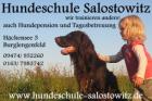 Die etwas andere Hundeschule .