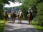 FN-Reitschule für klassisch und western