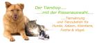 Riesen-tiershop.de - Der Shop für Tiernahrung und Tierbedarf im Internet