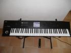 Korg M50 73 mit Garantie