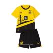 Verkaufen Neues BVB Trikot 23 24