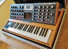 MOOG Minimoog Voyager PSE Walnuss