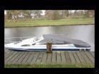 Motorboot Bayliner mit OMC 5, 0 Liter V8 Cobra Moto