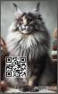 Maine Coon Notizbuch, Buch mit Maine Coon Motiv, Kalender, Tagesplaner & Geschen
