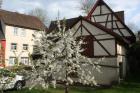 Historisches renoviertes Bauernhaus mit guter Ausstattung zu vermieten 