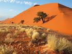 15 Tage Rundreise Namibia & Südafrika. Faszination südliches Afrika.