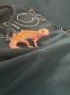 Leopard gecko mit Terrarium