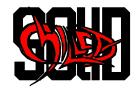 Solid Chilled sucht Bassist/in