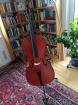 Cello Roderich Paesold 4/4 zu verkaufen