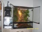 Terrarium zu verkaufen