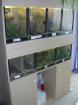 Terrarienschrank