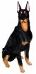 Dobermann Figur sitzend