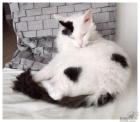 Jolie (La Perm) - Einzelprinzessin sucht Kuschelpersonal 