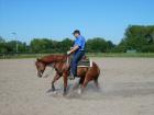 Westernreiten - Reitunterricht