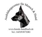 Problemhund? zertifizierter Problemhundetherapeut